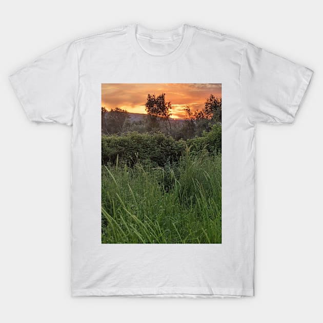 Burnished Sky, Greek nature photography T-Shirt by aeolia